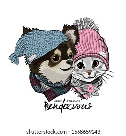 Vector Cat And Dog. Romantic Meeting. Illustration Of Dressed Pets. Romantic Date. 