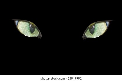 Vector cat eyes on the black. Eyes and background are in separate layers. Filled with solid colors only.