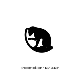 Vector of a cat face design on white background , pet, Animals. Vector
