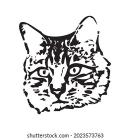 Vector of a cat face design on white background, Pet. Animals in eps 10