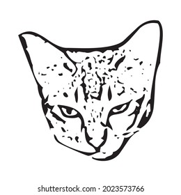 Vector of a cat face design on white background, Pet. Animals in eps 10
