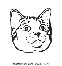 Vector of a cat face design on white background, Pet. Animals in eps 10
