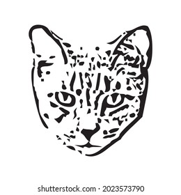 Vector of a cat face design on white background, Pet. Animals in eps 10