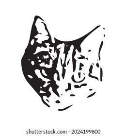 Vector of a cat face design on white background, Pet. Animals in eps 10