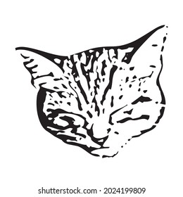 Vector of a cat face design on white background, Pet. Animals in eps 10