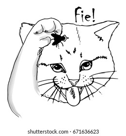 Vector cat with fly. Hand drawn illustration of cat. 