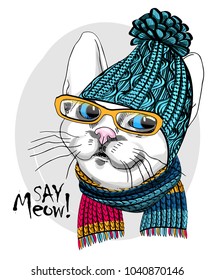 Vector cat with glasses, blue knitted hat and scarf. Hand drawn illustration of dressed cat.