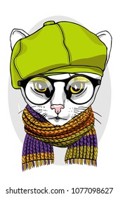 Vector cat with glasses, green cap and knitted scarf. Hand drawn illustration of dressed cat.