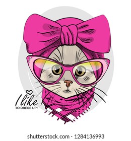 Vector cat with glasses, pink headscarf and scarf. Hand drawn illustration of dressed kitten.