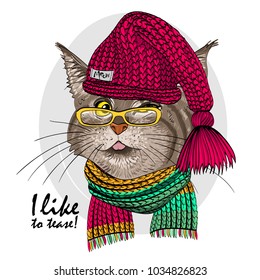 Vector cat with glasses, red knitted hat and knitted scarf. Hand drawn illustration of dressed cat.