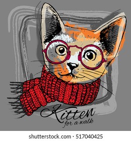 Vector cat with glasses in a red scarf. Hand drawn illustration of dressed cat. 