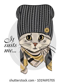 Vector cat with grey knitted hat and scarf. Hand drawn illustration of dressed cat.