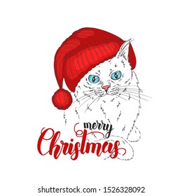 Vector cat in hat and hand made lettering - Merry Christmas. Hand drawn illustration of dressed cat. Winter time