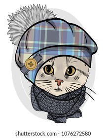 Vector cat with hat and knitted grey scarf. Hand drawn illustration of dressed cat