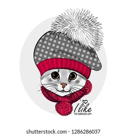 Vector cat with hat and knitted red scarf. Hand drawn illustration of dressed cat.