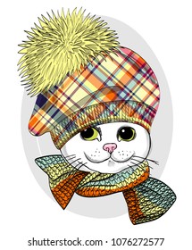 Vector cat with hat and knitted scarf. Hand drawn illustration of dressed cat