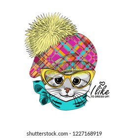 Vector cat with hat, yellow glasses and green scarf. Hand drawn illustration of dressed kitten. Fashion cat-girl.