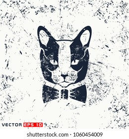 Vector cat head, hipster face  on grubge background