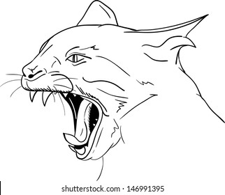 vector - Cat head - open mouth - agressive 