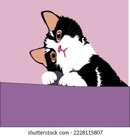vector of cat  of illustration art. lovely cute black and white cat with ball