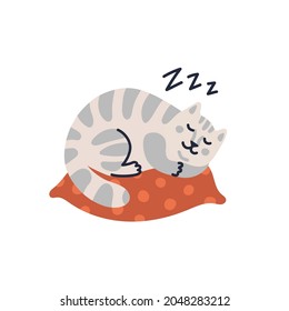 Vector cat illustration, Cute tabby kitten sleeping on the pillow. Vector illustration in flat cartoon style on white background