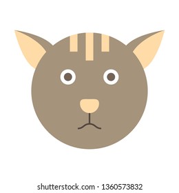 vector cat illustration without background