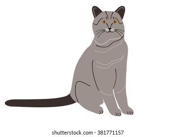 Vector cat isolated. Colored cartoon cat. British cat vector illustration isolated on white background.