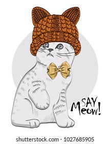Vector cat with knitted hat and bow. Hand drawn illustration of dressed cat.