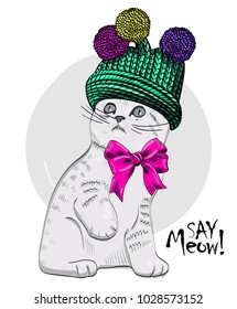 Vector cat with knitted hat and bow. Hand drawn illustration of dressed cat.