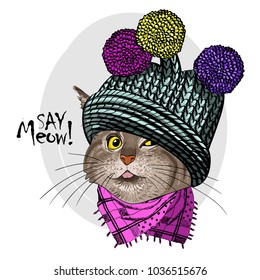 Vector cat with knitted hat with pompon and scarf. Hand drawn illustration of dressed cat.