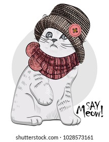 Vector cat with knitted hat and scarf. Hand drawn illustration of dressed cat.