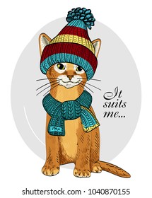 Vector cat with knitted hat and scarf. Hand drawn illustration of dressed cat.