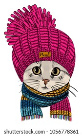 Gato vectorial con sombrero de punto y bufanda. Ilustración dibujada a mano del gato vestido.1