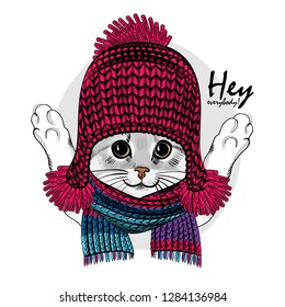 Vector cat with knitted red hat and scarf. Hand drawn illustration of dressed kitten.