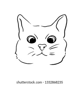vector cat line illustration 