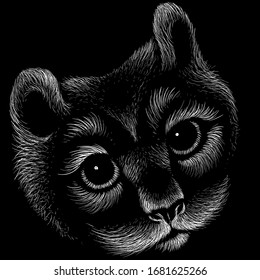  Logotipo de gato vectorial para tatuajes o diseño de pantalones T o ultradesgaste.  Fondo de gato estilo impresión. Este dibujo a mano sería agradable para tela negra o lienzo.