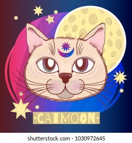 Vector with a cat, moon, stars. Magical and fairy. Suitable for postcards, printing, posters, textiles Cartoon style