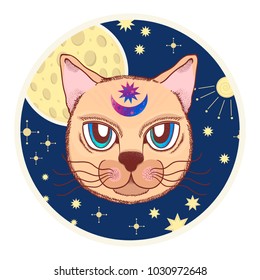 Vector with a cat, moon, stars. Magical and fairy. Suitable for postcards, printing, posters, textiles Cartoon style