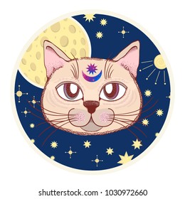 Vector with a cat, moon, stars. Magical and fairy. Suitable for postcards, printing, posters, textiles Cartoon style