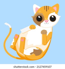 vector cat on a blue background. illustration. icon for presentations, books, posters, postcards.