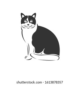Vector of cat  on a white background, Animal. Pet. Easy editable layered  illustration. symbol. logo. icon. Mammals