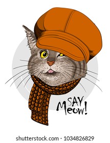 Vector cat with orange cap and scarf. Hand drawn illustration of dressed cat.