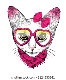 Vector cat with pink glasses, pink bow and pink scarf. Hand drawn illustration of dressed cat.