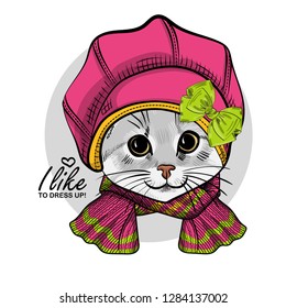 Vector cat with pink hat, bow and knitted scarf. Hand drawn illustration of dressed kitten.