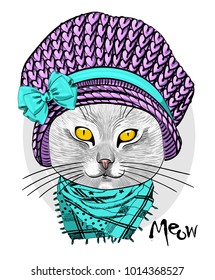 Vector cat with pink knitted hat and scarf . Hand drawn illustration of dressed cat.