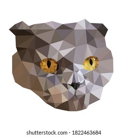 Vector cat in polygon style. Cat low poly.Triangle vector illustration of animal for use as a print on t-shirt and poster. Geometric low poly design illustration. Vector illustration