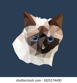 Vector cat in polygon style. Cat low poly. Cat onTriangle vector illustration of animal for use as a print on t-shirt and poster. Geometric low poly design illustration. Vector illustration