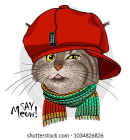 Vector cat with red cap and knitted scarf. Hand drawn illustration of dressed cat.