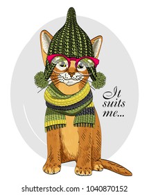 Vector cat with red glasses, green knitted hat and scarf. Hand drawn illustration of dressed cat.