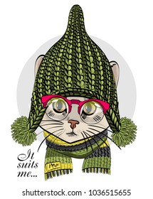 Vector cat with red glasses, knitted hat and scarf. Hand drawn illustration of dressed cat.